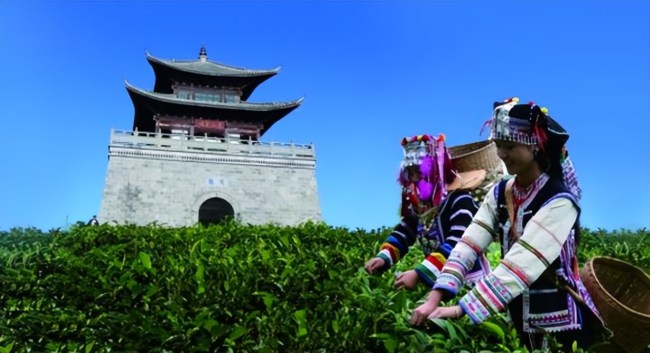 云南旅游之普洱,普洱也是一个特别美的旅游城市