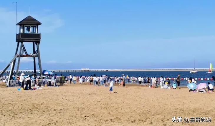 上海金山区旅游景点有哪些,金山区免费旅游景点大全