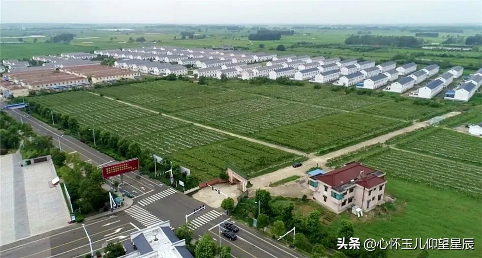 大寨和小岗哪个是典型,大寨与小岗村的实际发展情况