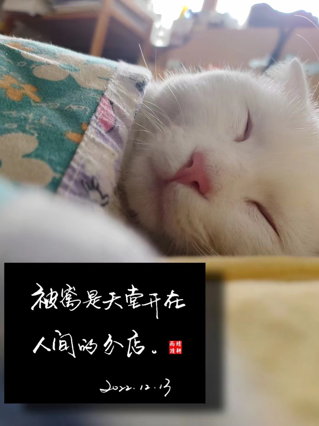 手持烟火以谋生，心怀诗意以谋爱，我马不停蹄，一意孤行