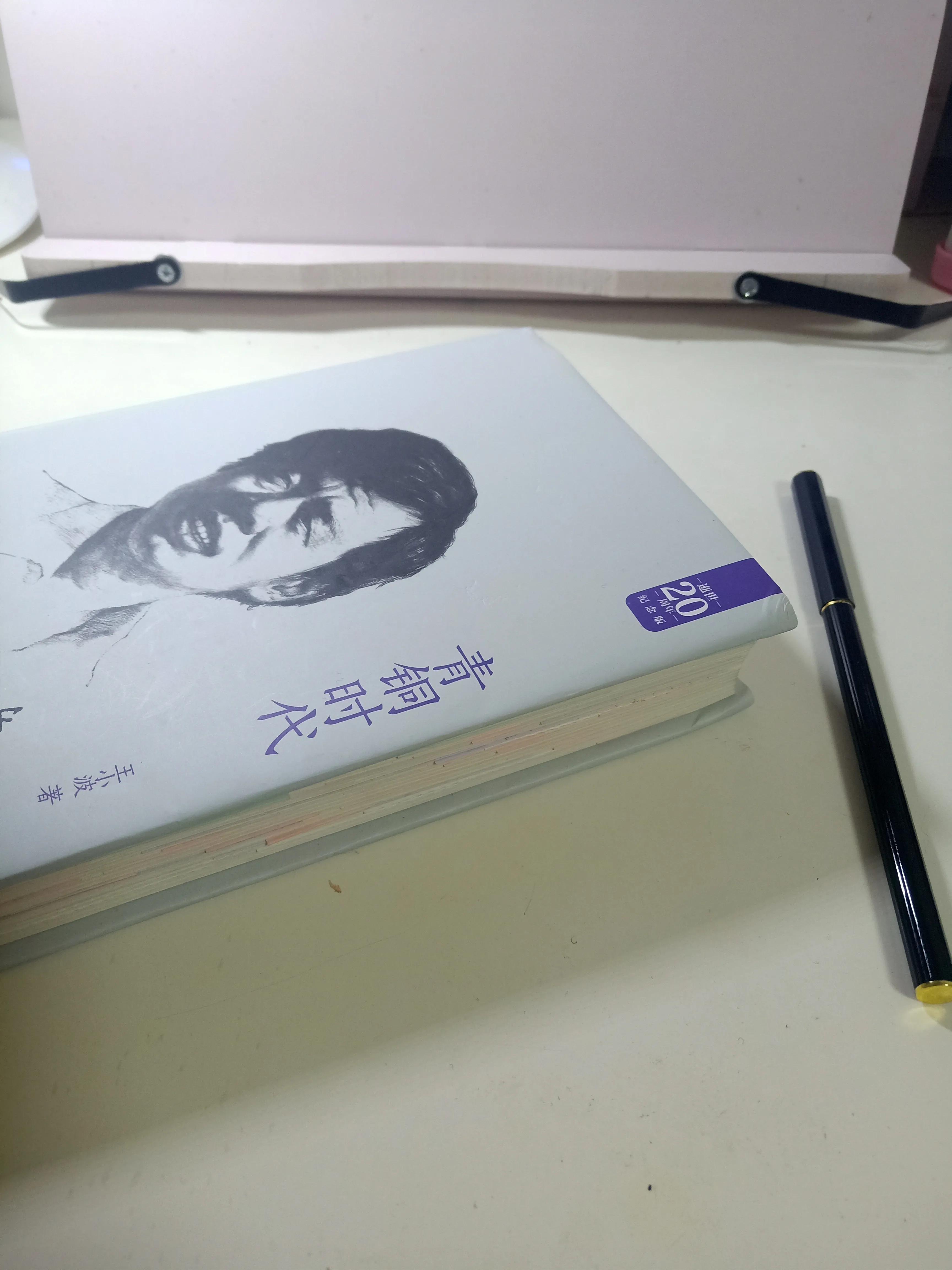 王小波的青铜时代讲的啥,王小波有声小说青铜时代