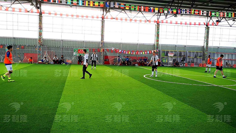 从泥土开始进化,从土壤到天空的蜕变