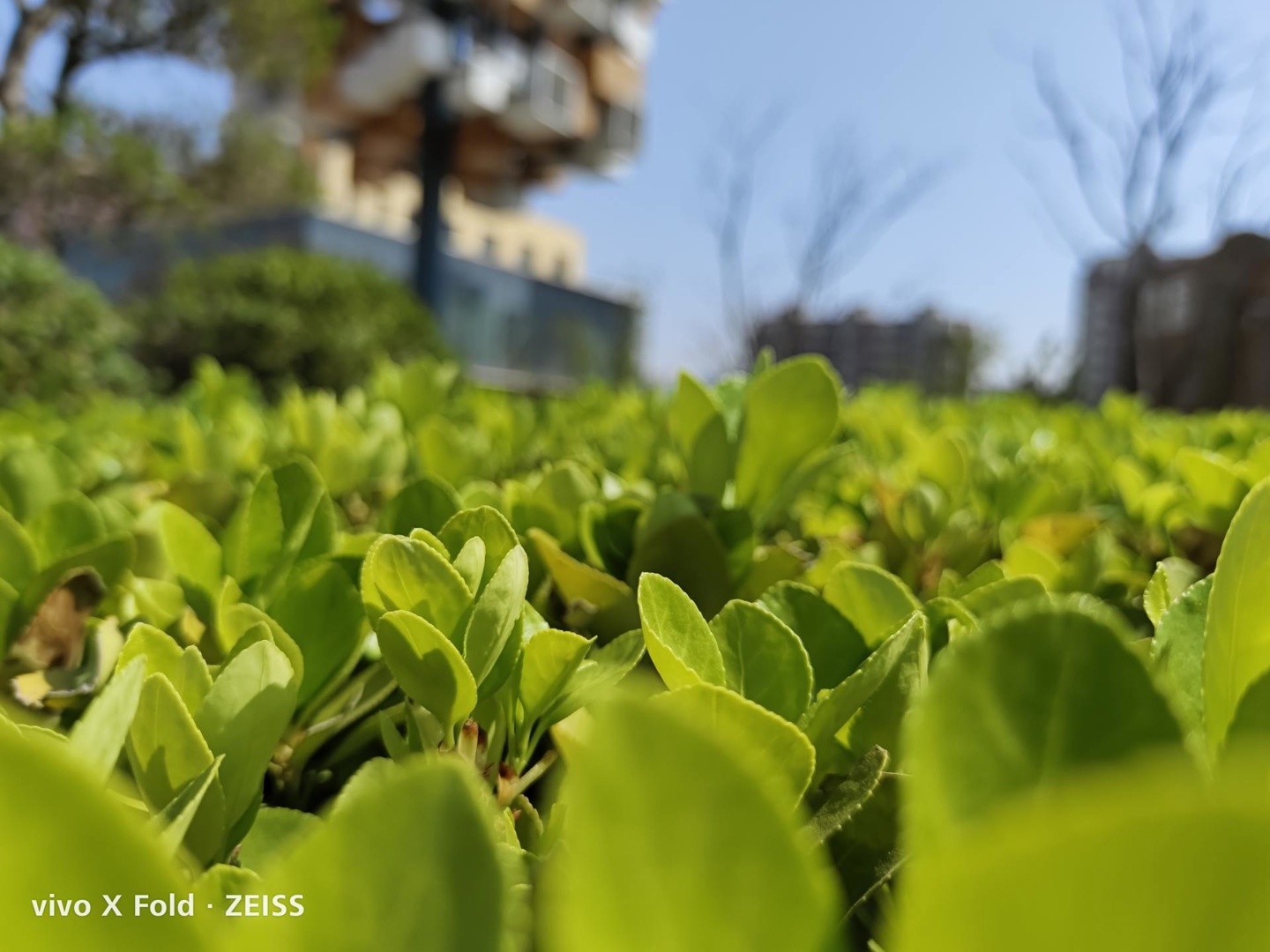 vivoxfold折叠屏评测,vivoxfold对比华为matex2