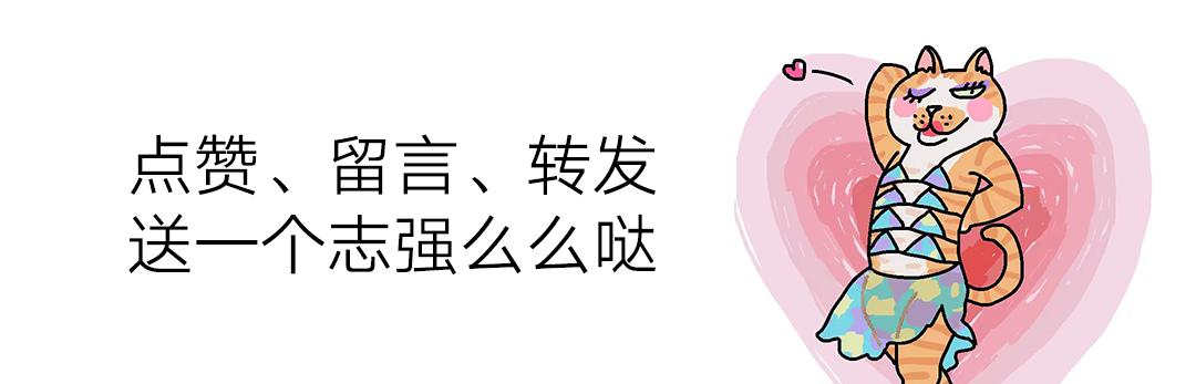 猫咪要怎么喂才是正确的答案,猫咪能每天喂猫吃不同的肉吗