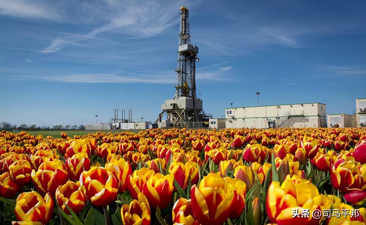 荷兰拒绝盲目配合美国，坚持高科技出口，中荷伙伴关系有多深厚？