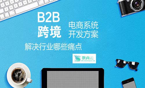 跨境电商怎么开发商城,跨境电商小程序建设