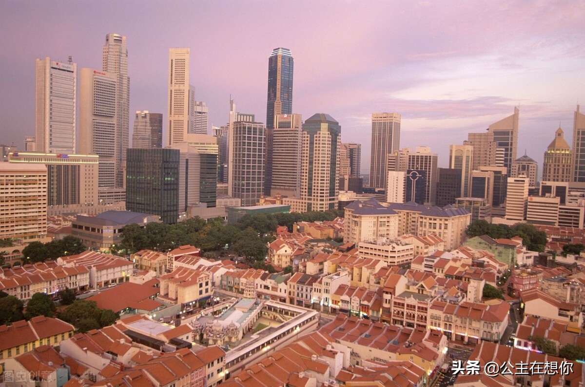 新加坡7个冷知识英文,世界上养猫最多的国家