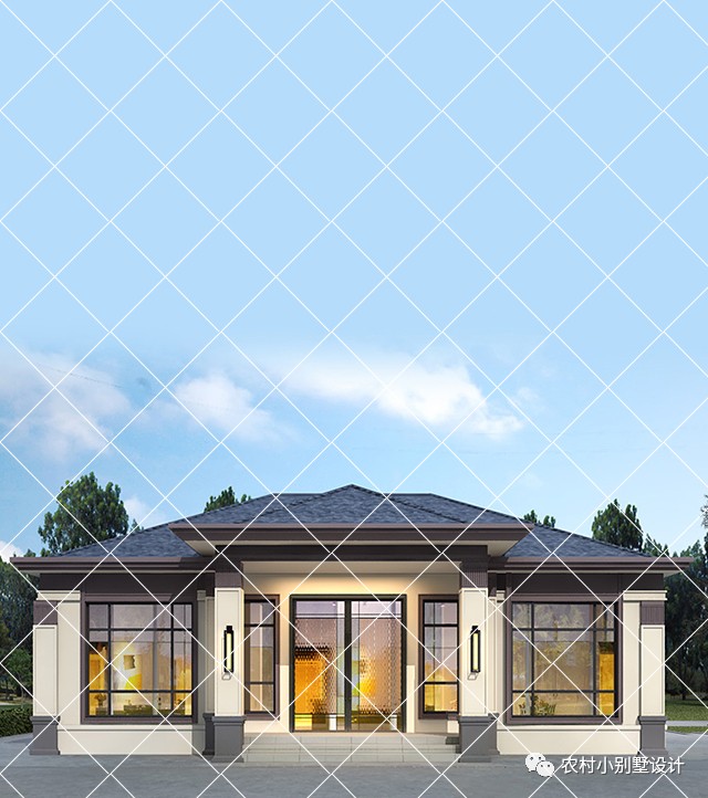 一层半层小别墅新款农村自建房,农村自建房一层别墅设计最新款