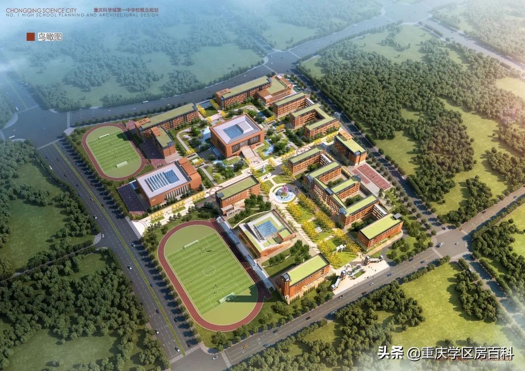 这所“低调”的七龙珠，终于还是来了科学城