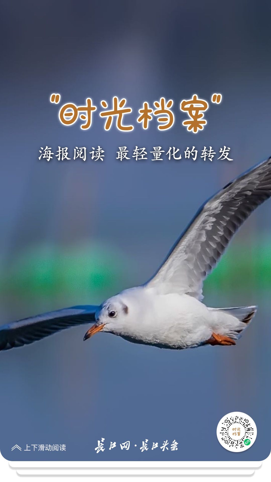 “时光档案”重磅上线!快来长江网·长江头条折叠时光炫酷分享