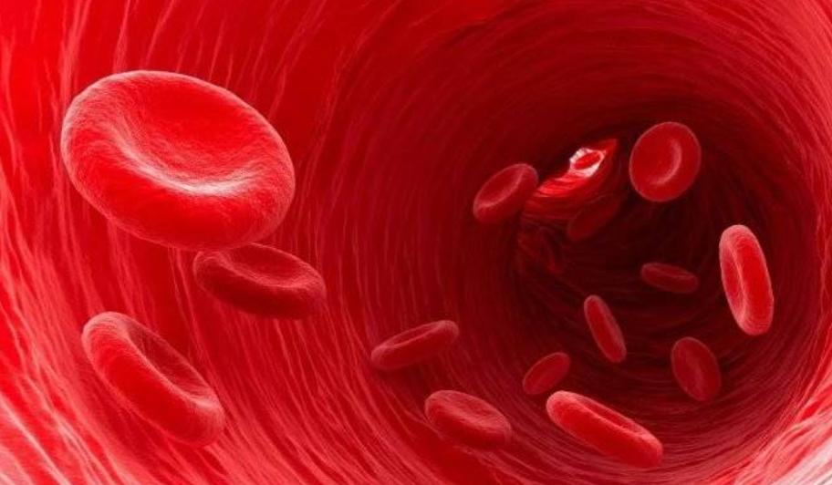 踮脚跟八百年的养生法,踮脚尖养生功法