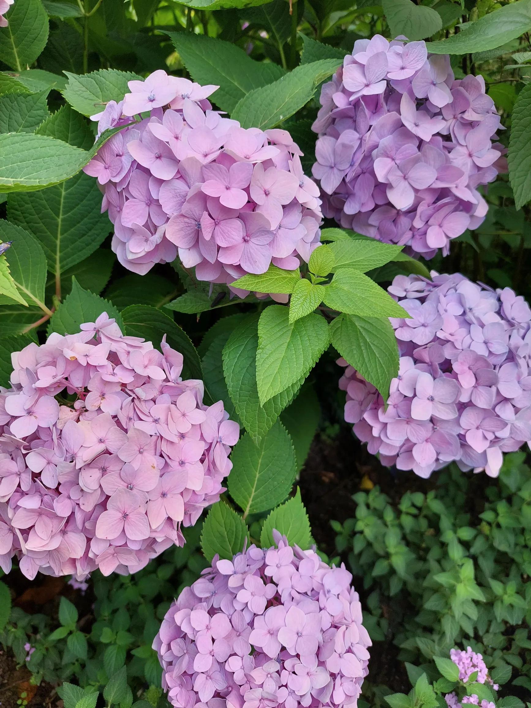 努力决定你的职业,努力是一种态度与职业无关