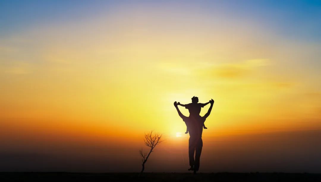 dna亲子鉴定师的故事,dna亲子鉴别师见证家庭破灭