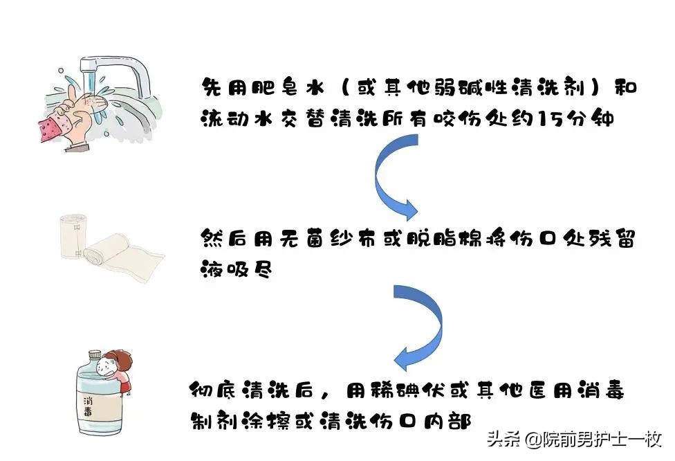 科普狗咬伤自救方法有哪些,犬类咬伤急救知识英文