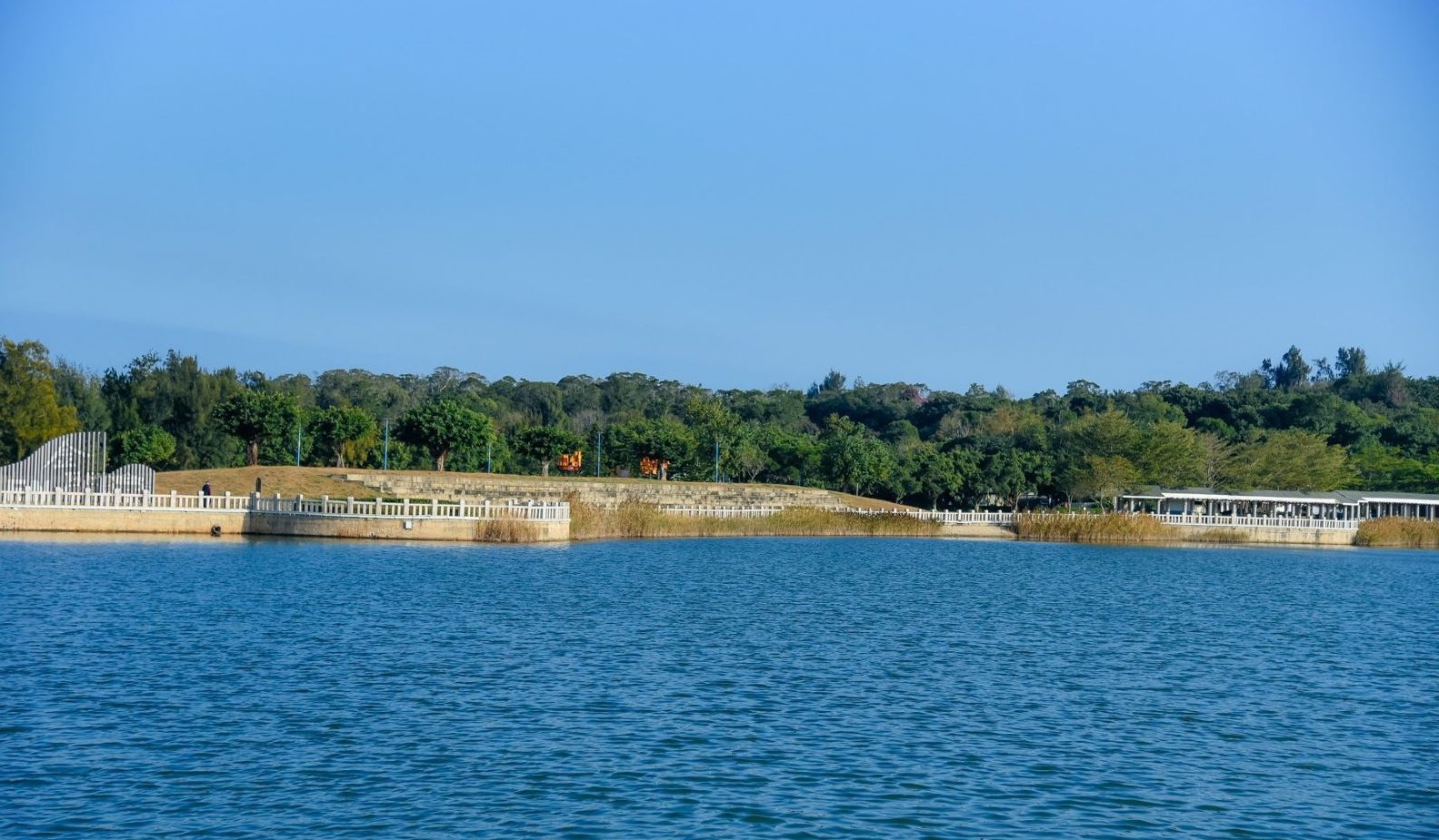 金门变相谋独还是向往统一？蔡英文摊上大事