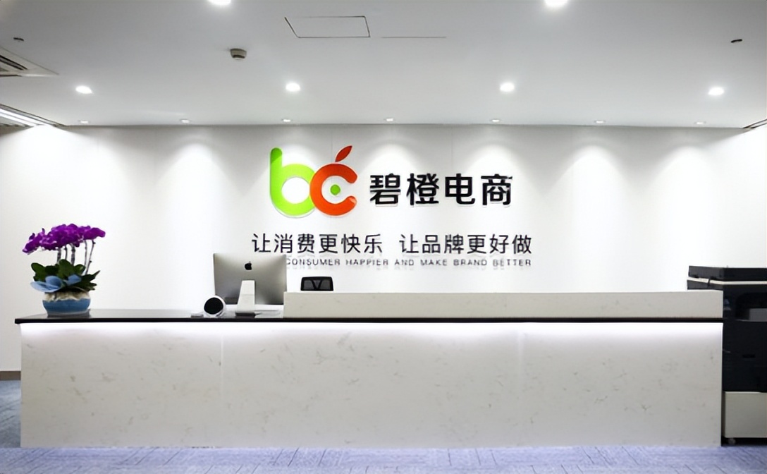 京东官方代运营服务商排名,京东代运营哪里做得最好