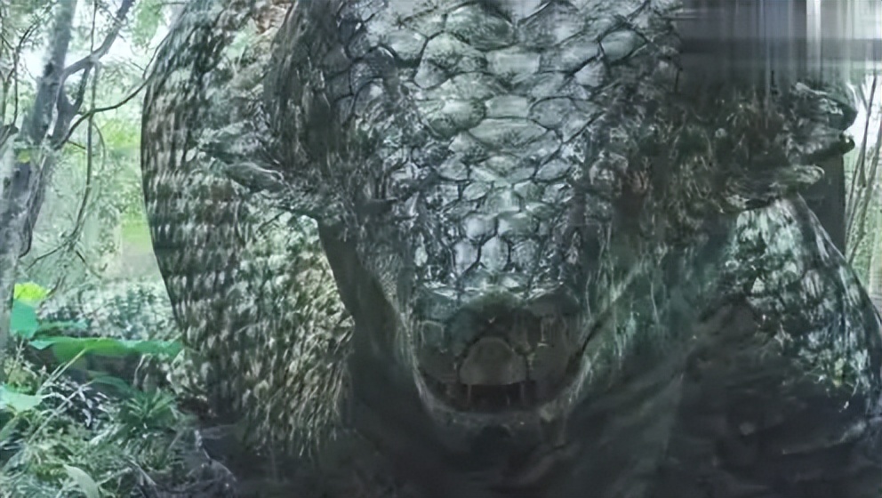 深潭巨蟒,深潭巨蟒大全