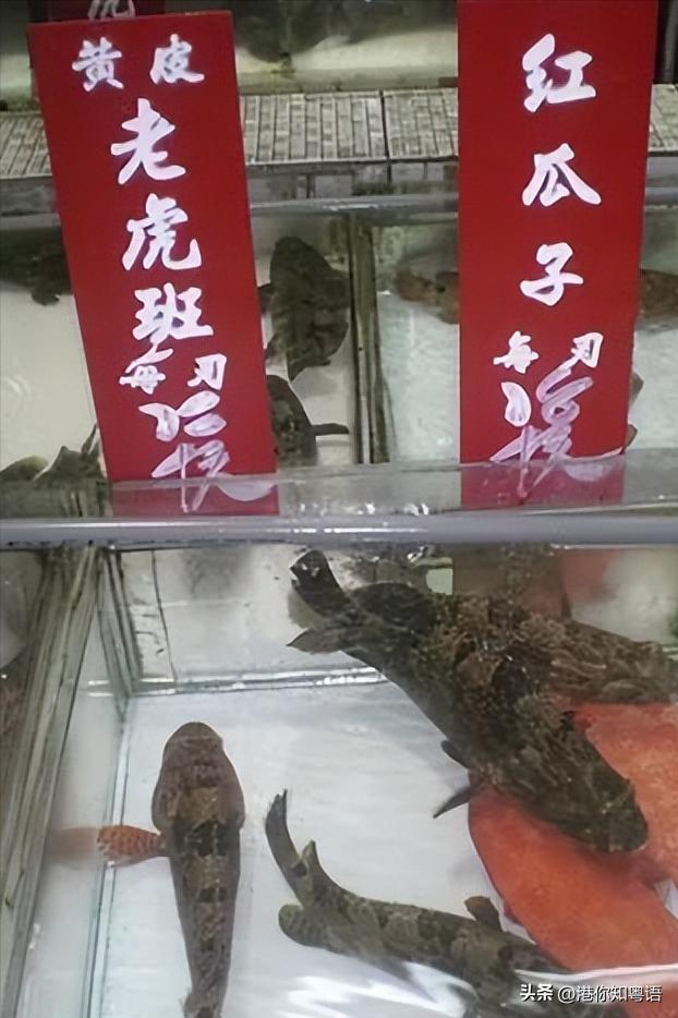 原来在香港我连数字都看不懂?