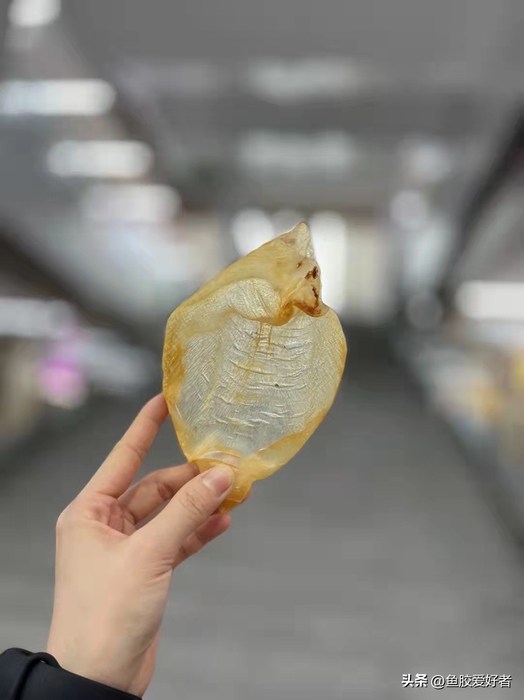 小价位的鱼胶哪些值得买,鱼胶哪一款比较好