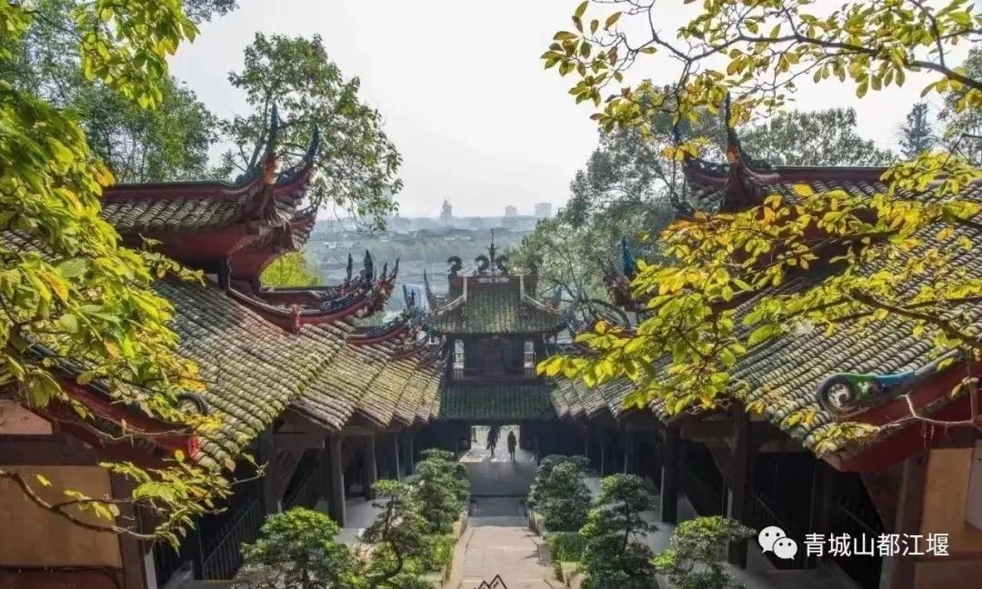 抓住秋天的尾巴！都江堰必打卡的8大晚秋好去处，步青山观烟岚云岫、入古城拾千年烟火，来过都会爱上