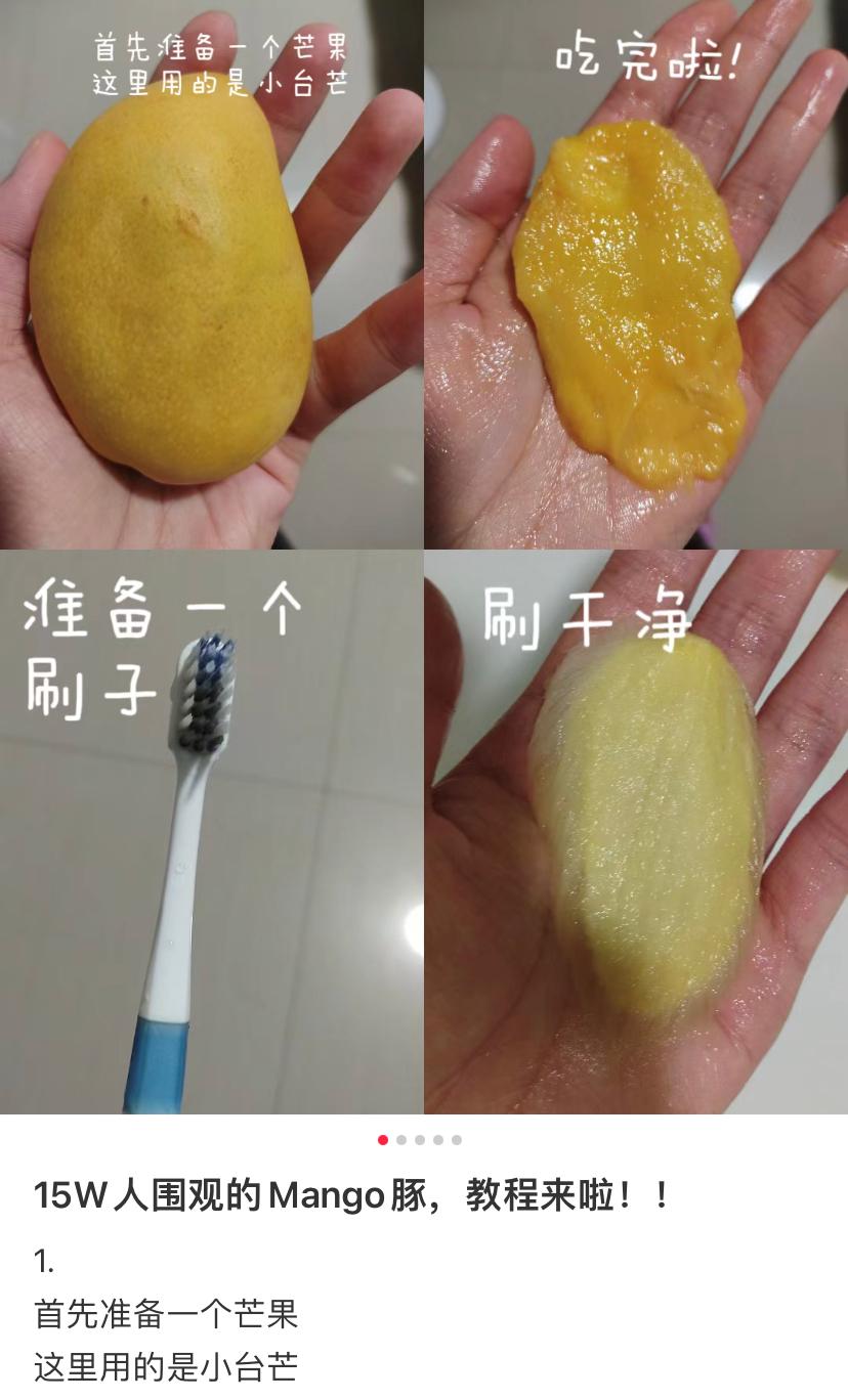 爆火！厦门流行养“芒狗”！网友：很怀疑他们的精神状态