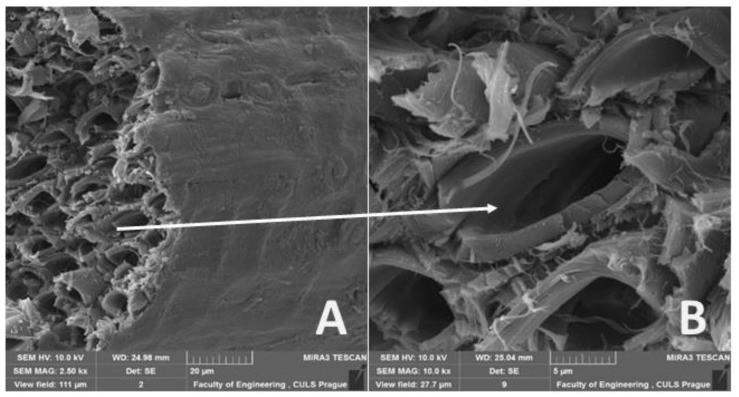 碱化处理之后，椰壳纤维和蕉麻纤维的拉抗强度是否会提升？