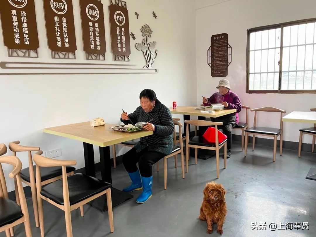 养老活得舒服方法,养老享老新方式