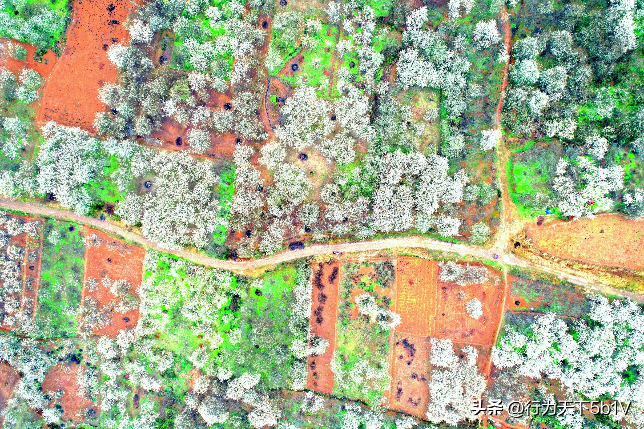 【平乐十里画廊鬼斧神工伟人石像】穿越唐*平宋**乐榕津千年古镇！