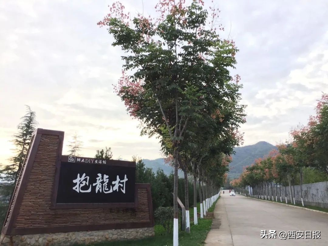 秋天是秦岭打卡网红圣地,秦岭网红打卡景点
