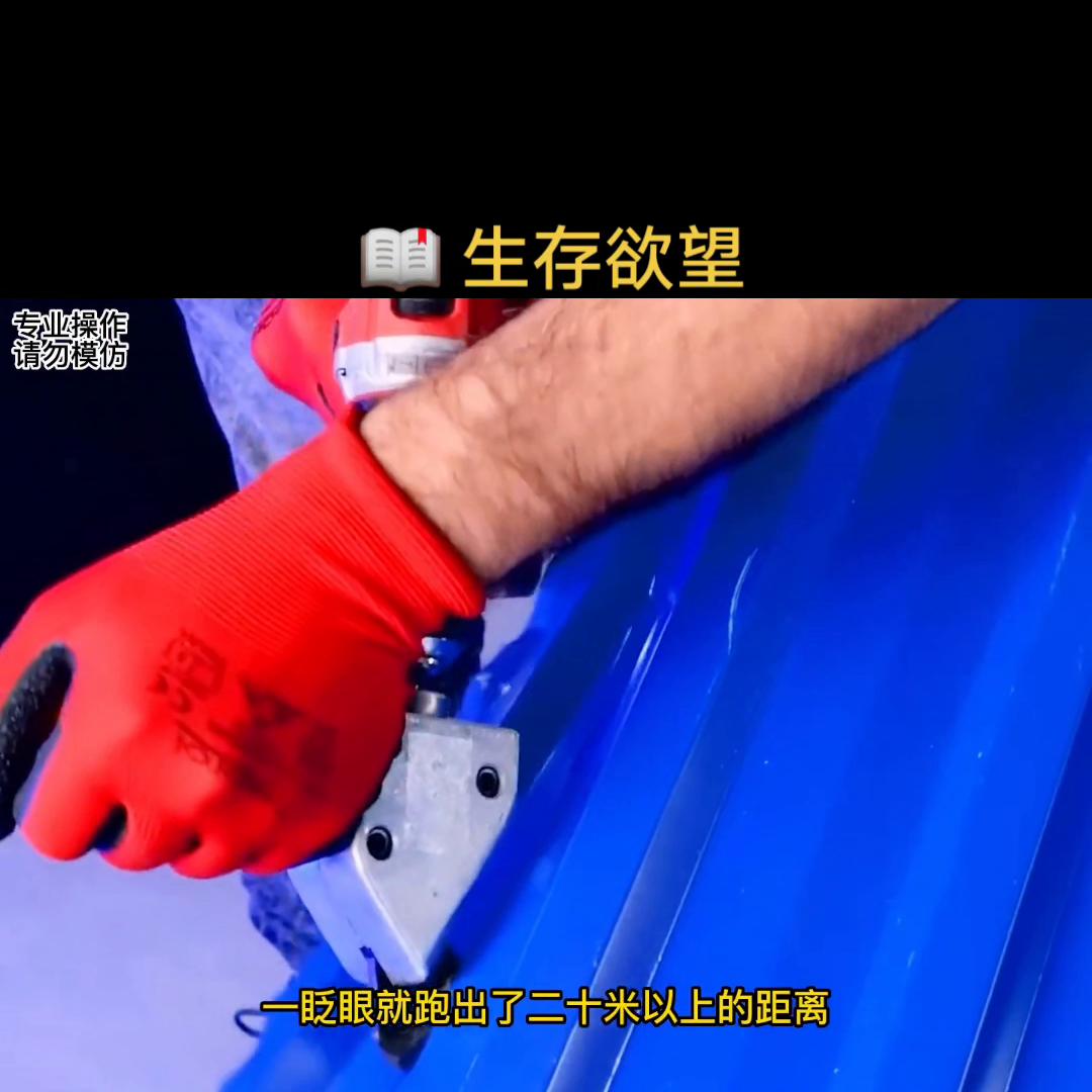 求生欲抖音小助手,求生欲望抖音小游戏