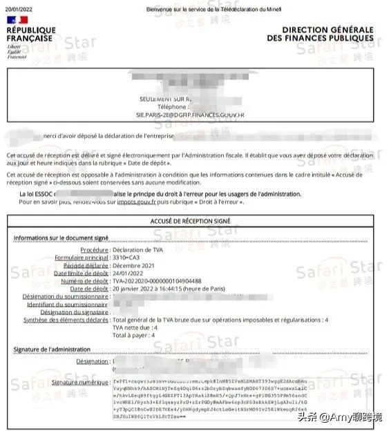 amy聊跨境,amy聊出海合规