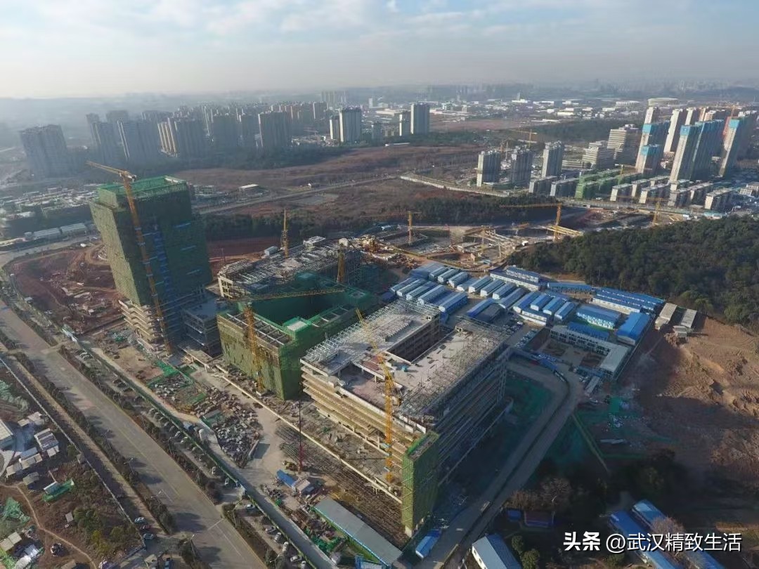 武汉房子容积率为什么高,武汉房子的容积率一般是多少