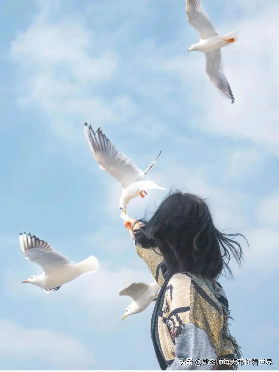 旅行云南团购,旅行云南推荐