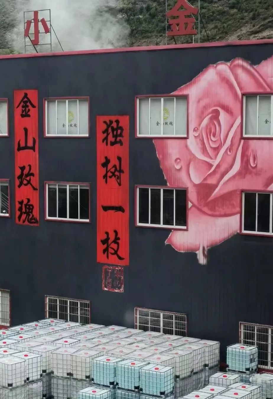 芒种行记丨四川小金县：奔赴一场玫瑰织就的寻香之旅（下）