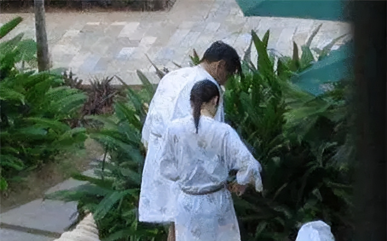 翁帆13年前嫁给杨振宁的原因,翁帆嫁给大自己54岁的杨振宁原因