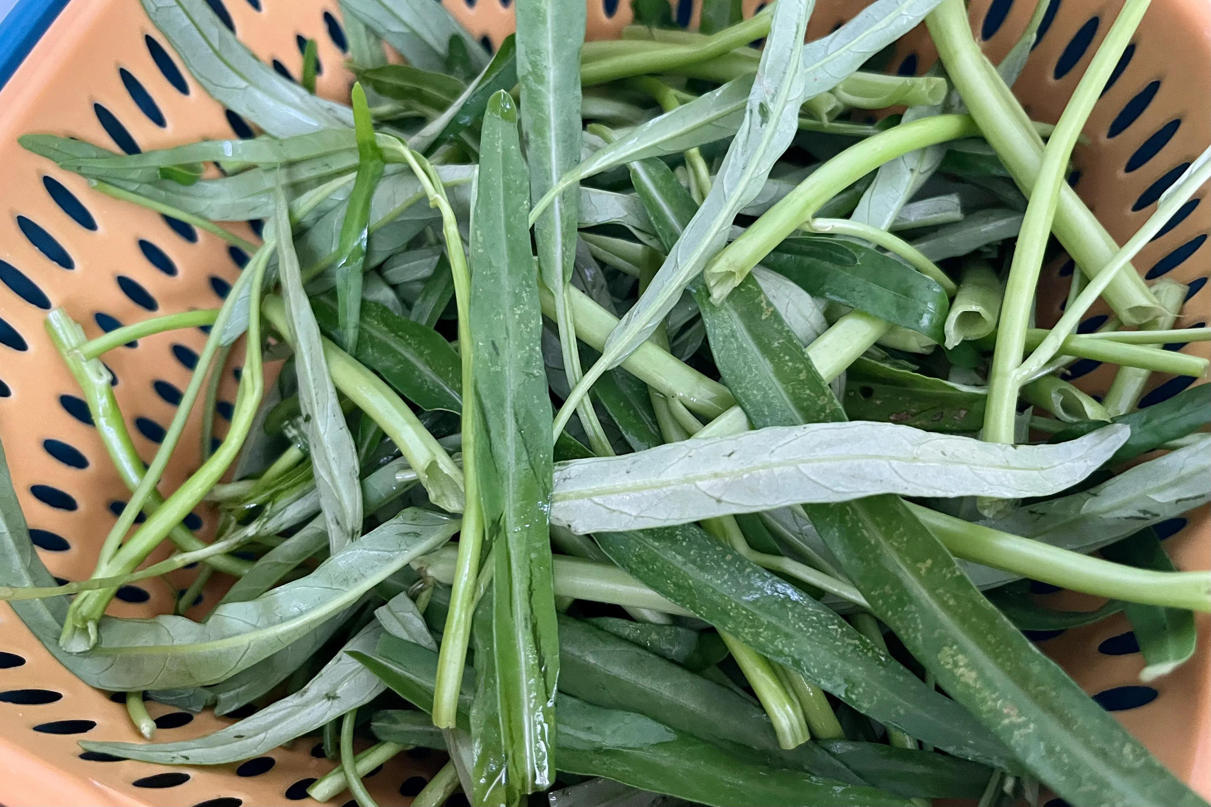 农历五月为何被称为毒五月,农历五月百病泛滥这些禁忌要知道