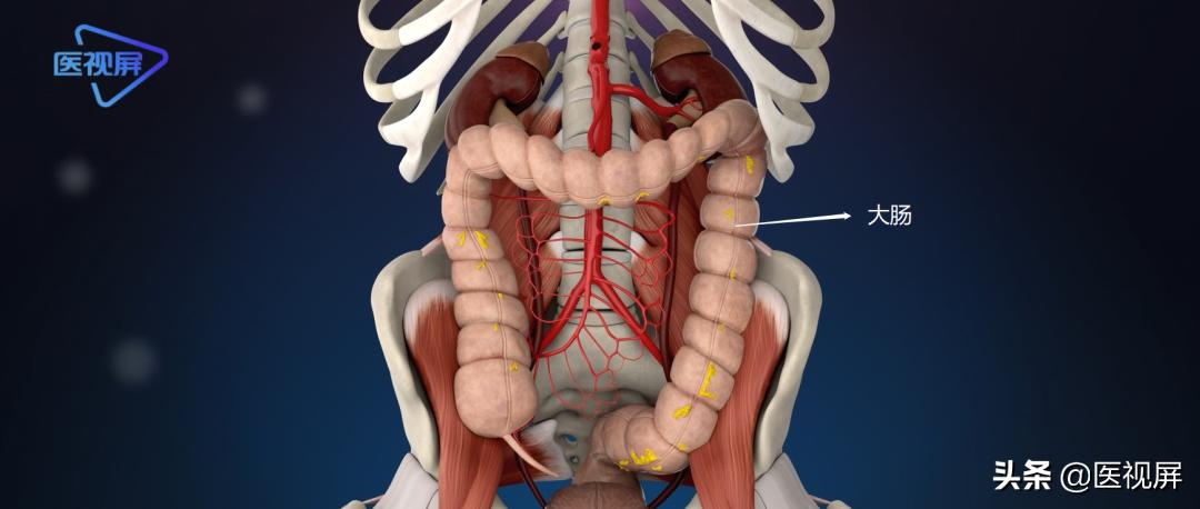 结肠肿瘤突变型多久长到15mm,直肠肿瘤长了23年