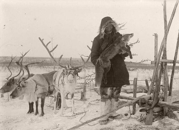 俄罗斯为什么可以征服西伯利亚,为什么俄罗斯可以征服西伯利亚