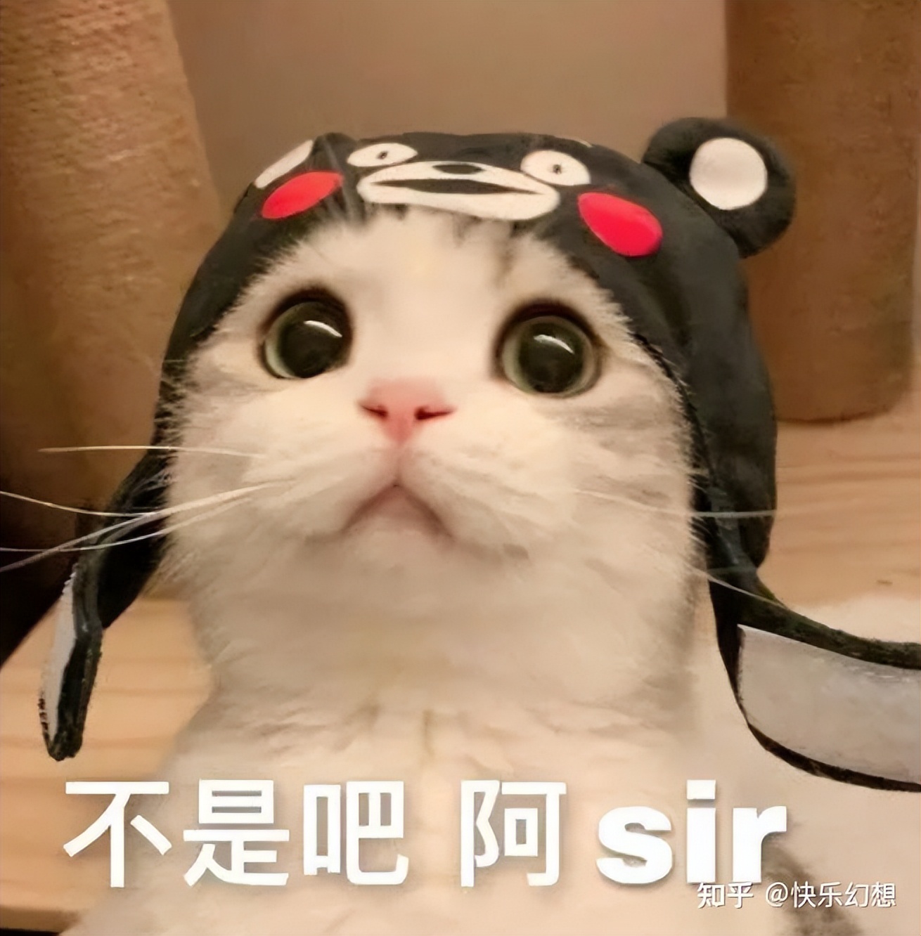 2022年飞机杯大盘点，前十排名飞机杯评测