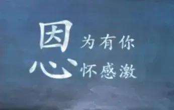 白象集团董事长简历,一文了解芯片
