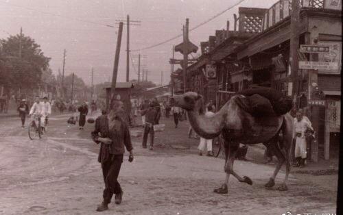 纳粹德国屠杀犹太女人,纳粹屠杀犹太妇女纪实