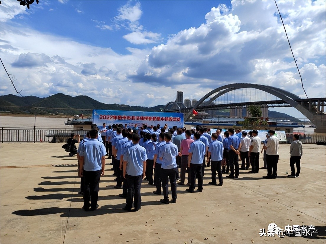 广西船舶拆解长期收购报废船,广东销毁走私三无船舶