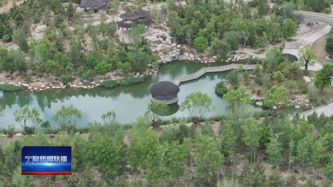 中国葡萄酒惊艳世界,中国葡萄酒震惊世界