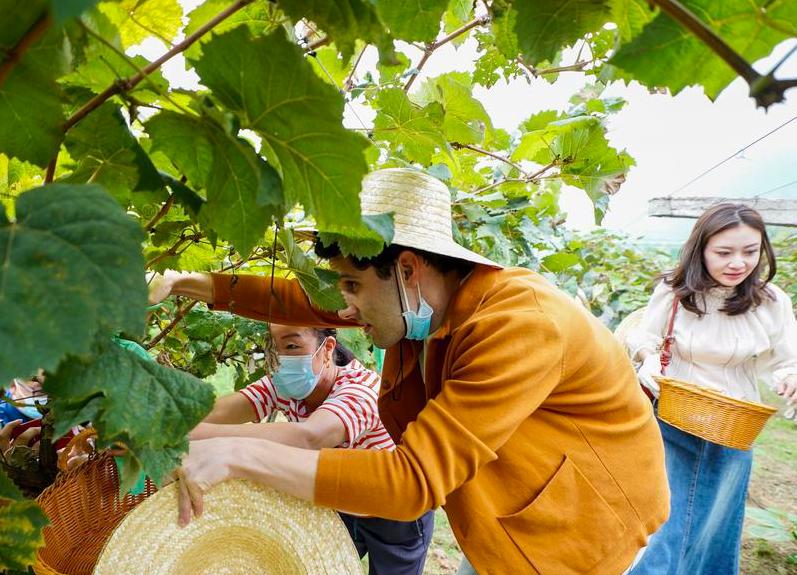 鄠邑区金丝猴自然保护区,西安鄠邑区发现金丝猴
