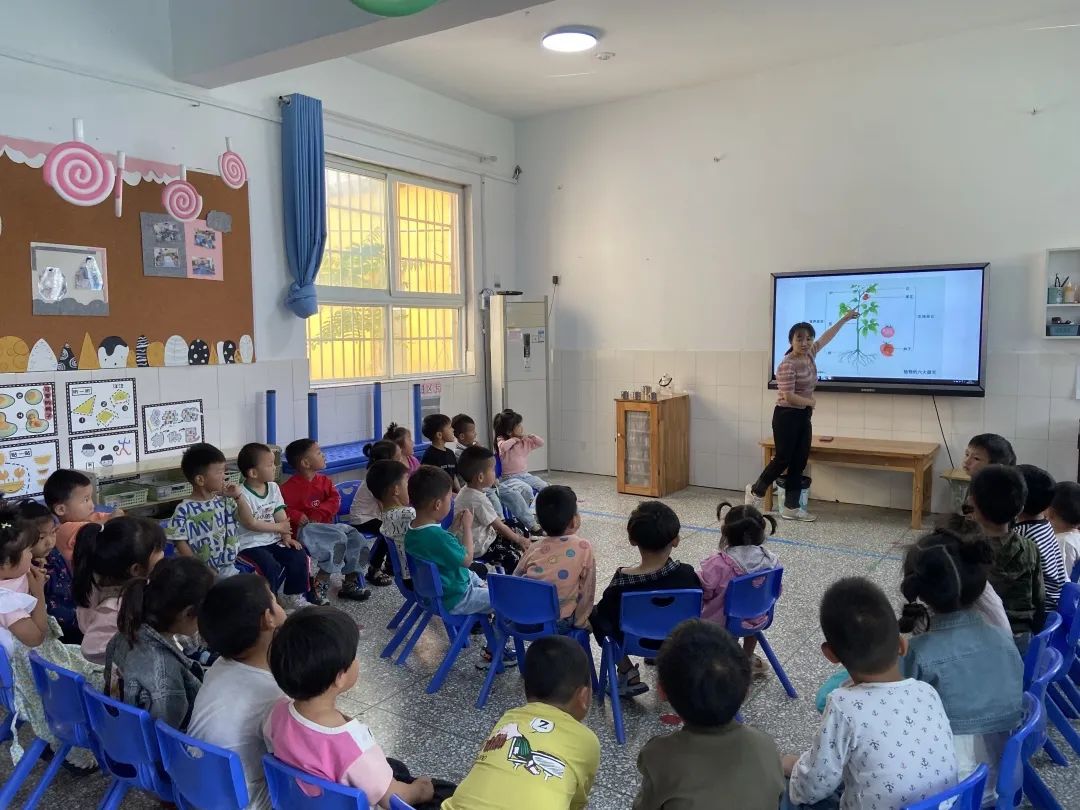 庙后幼儿园小一班《小番茄，大世界》实践活动