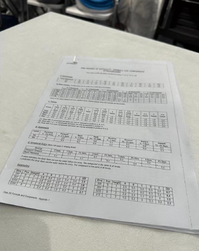 郭晶晶晒国外游玩照,郭晶晶跳水水花大