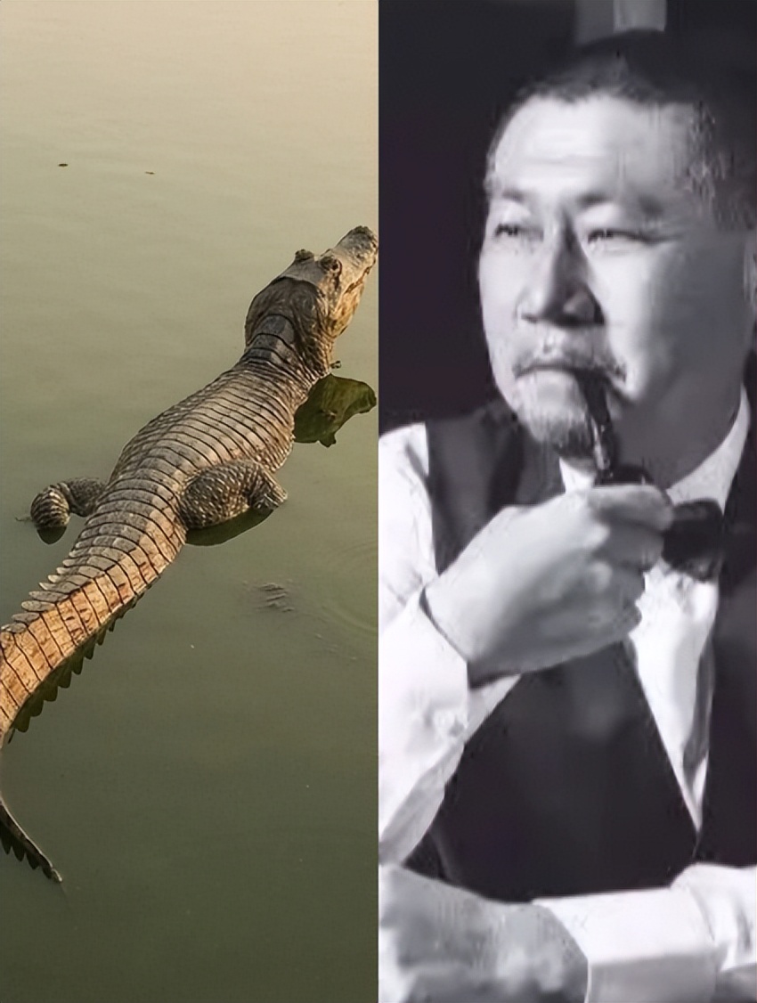 牛散大师葛卫东,牛散葛老大是真的葛卫东吗