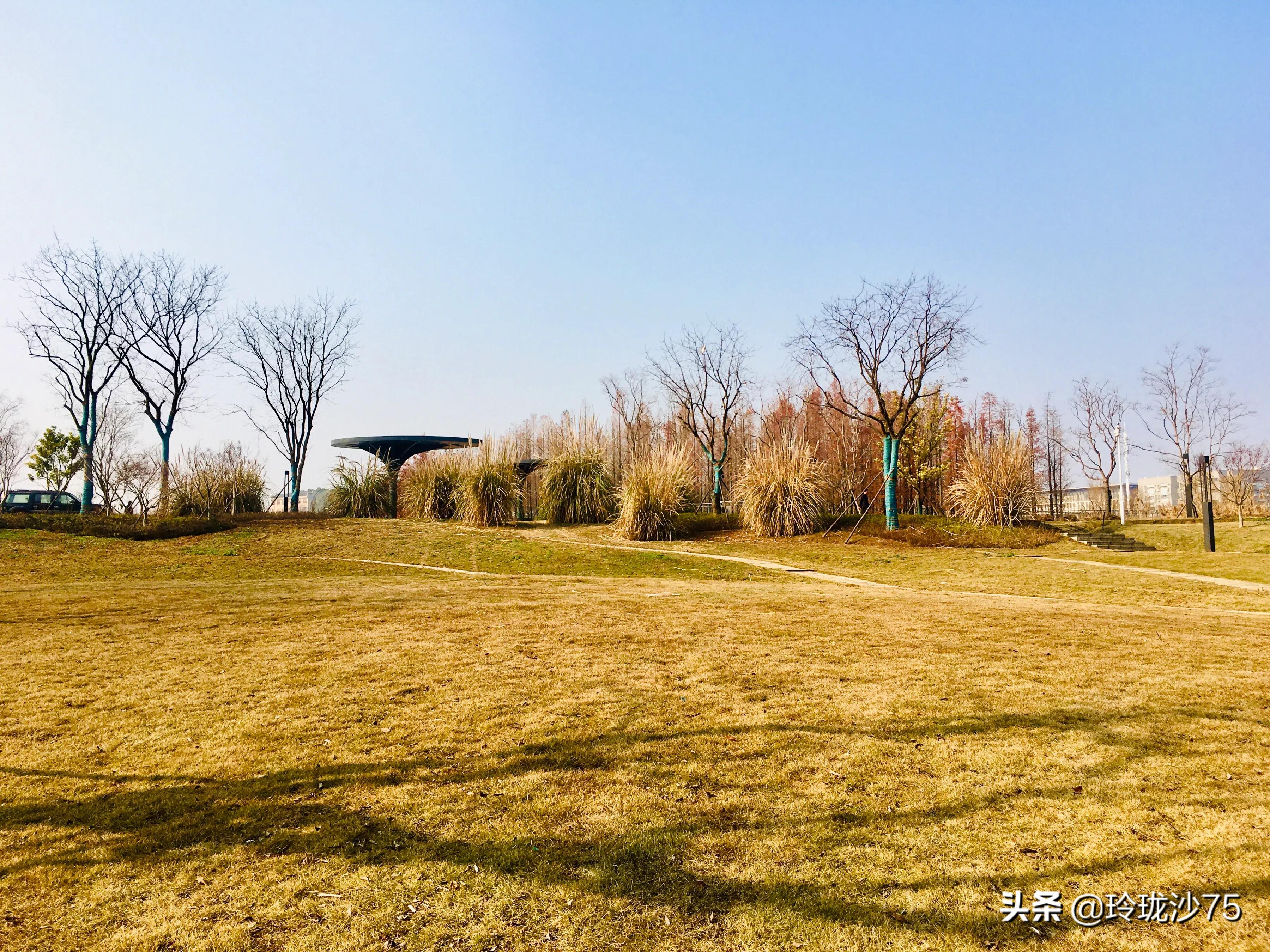 长沙风景美丽的篮球场,长沙王陵公园生态足球场