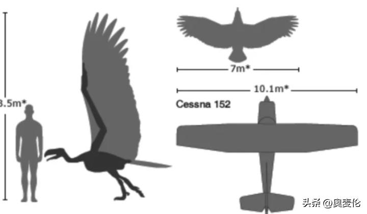 最近几年世界杯战况分析,为什么世界杯都是足球比赛