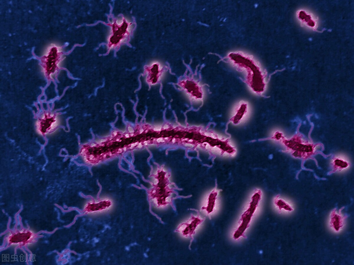反复发热、肠子里还有“东西”在作怪，夜市烧烤后，女子开启一段“炽热之旅”